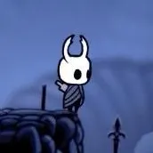 _Hollow Knight_