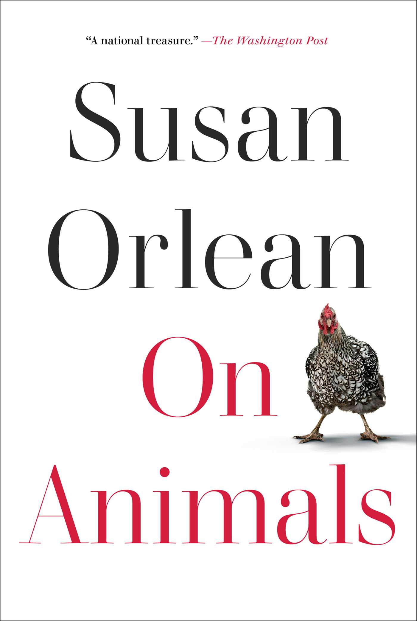 Susan Orlean
